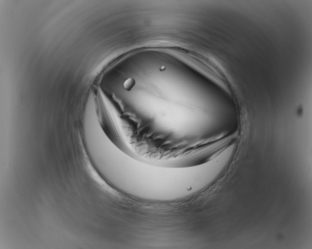 X0000116301476200912211851