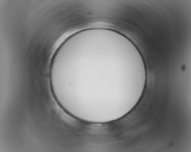 X0000116301478200912211851