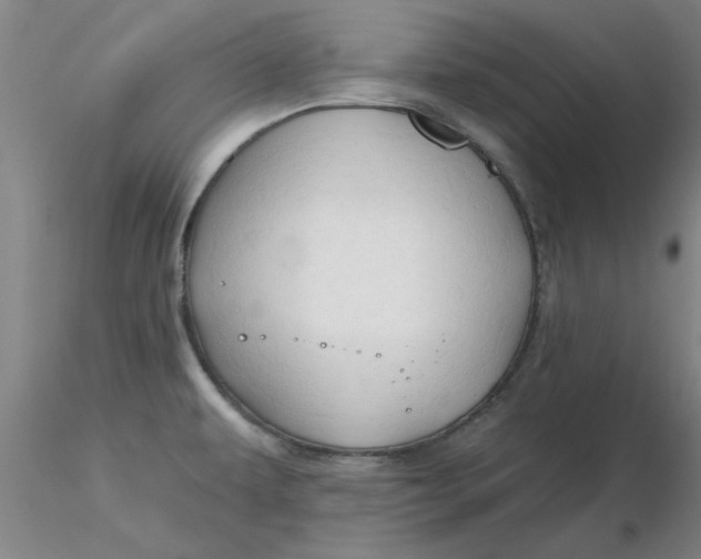 X0000116301479200912211851