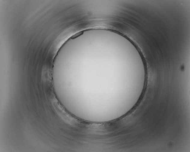 X0000116301481200912211851