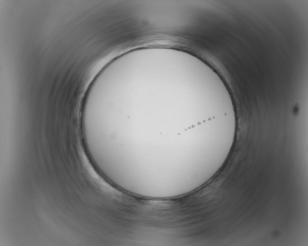 X0000116301483200912211851