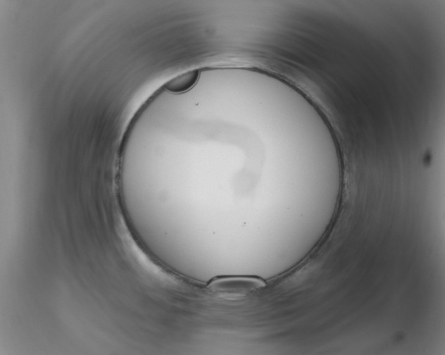 X0000116301484200912211851