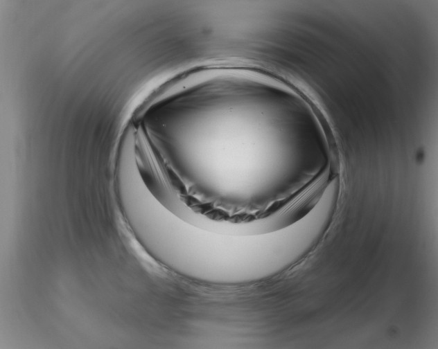 X0000116301485200912211851