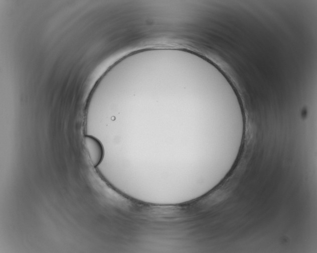 X0000116301486200912211851