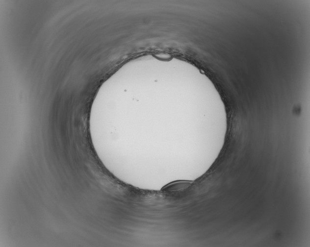 X0000116301489200912211850