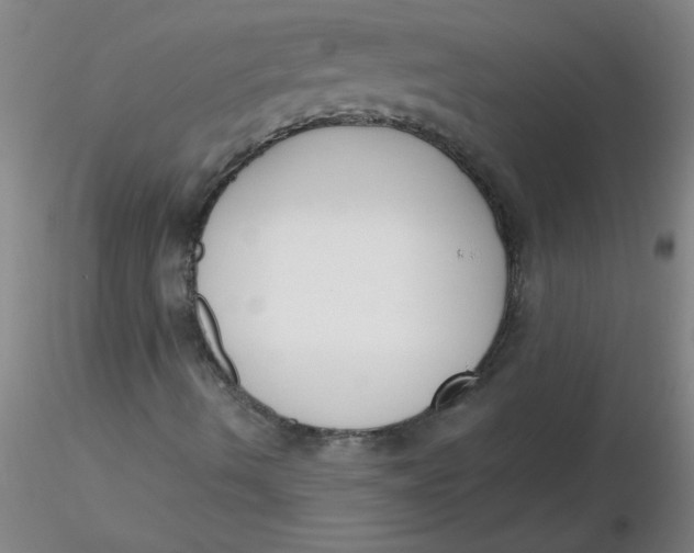 X0000116301490200912211850