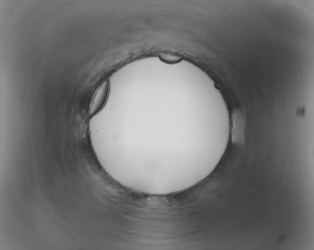 X0000116301491200912211850