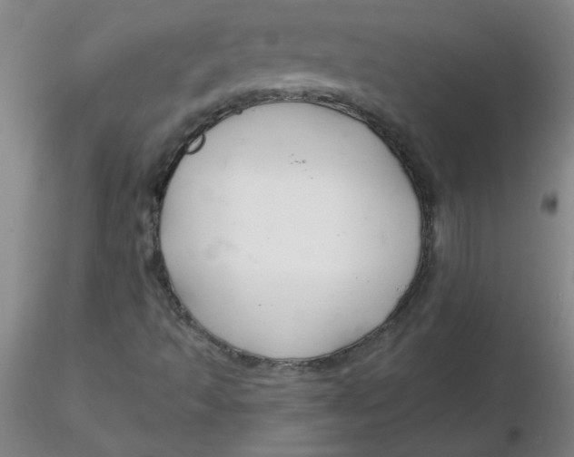 X0000116301493200912211850