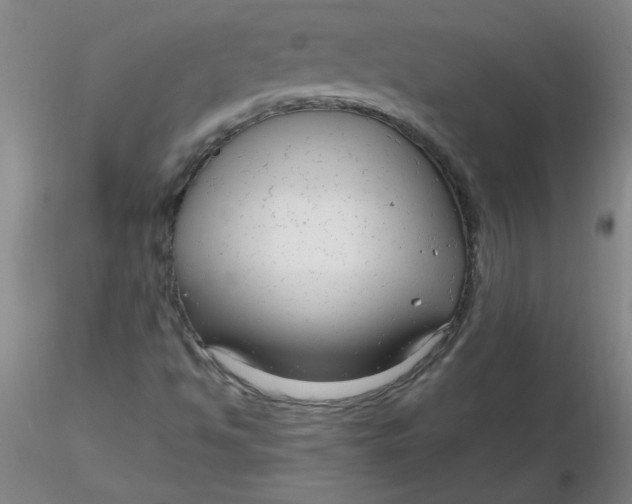 X0000116301494200912211850