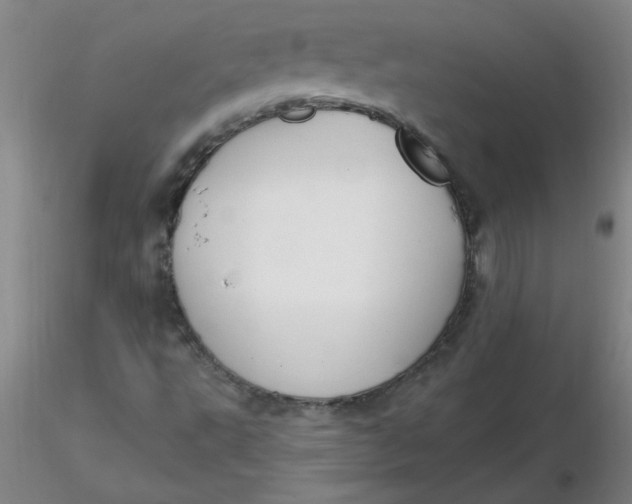 X0000116301495200912211850