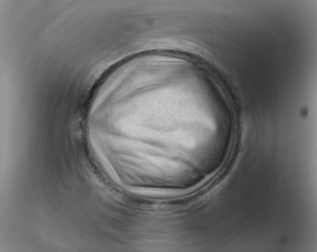 X0000116301497200912211850