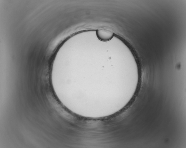 X0000116301498200912211850