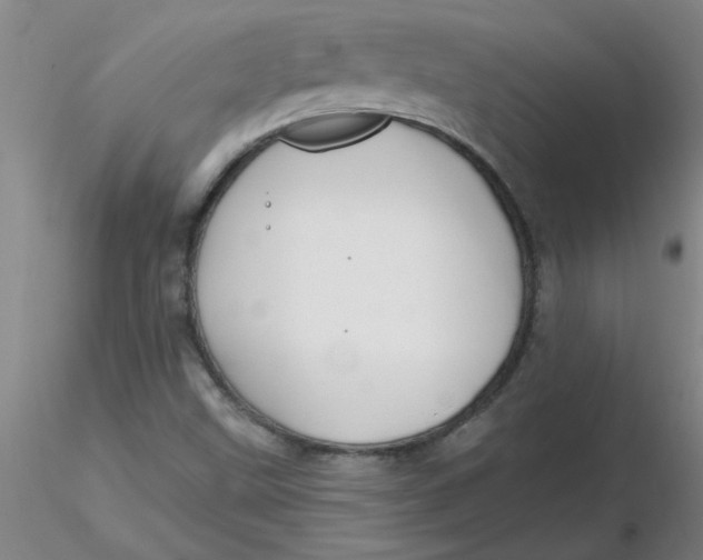 X0000116301499200912211850