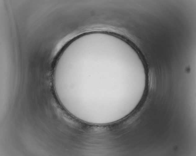 X0000116301501200912211850