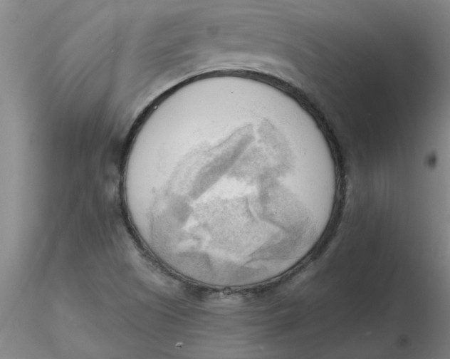 X0000116301505200912211850