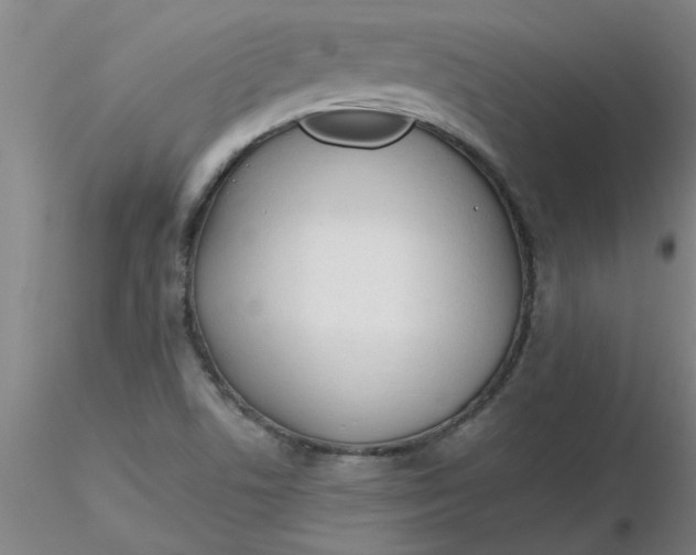 X0000116301506200912211850