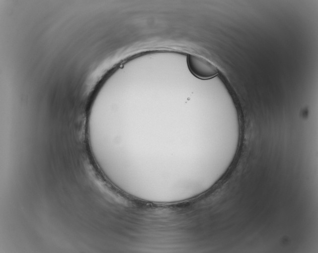 X0000116301507200912211850