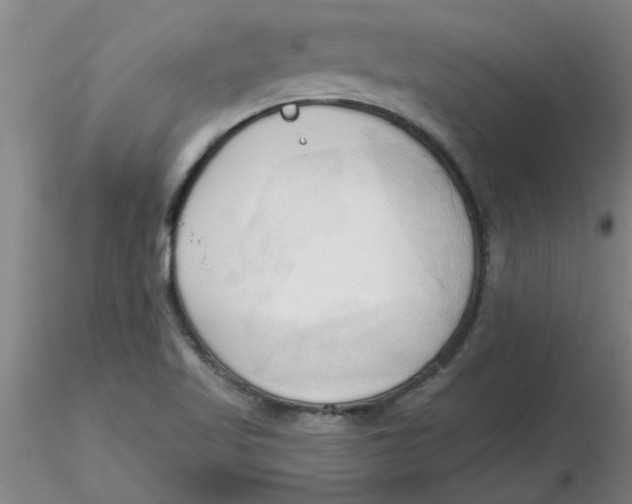 X0000116301509200912211850