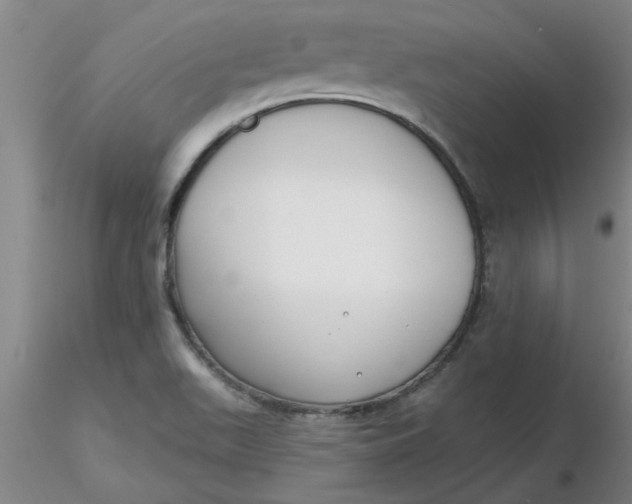 X0000116301511200912211850