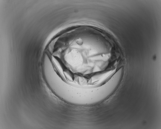 X0000116301514200912211851