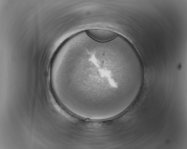 X0000116301515200912211851