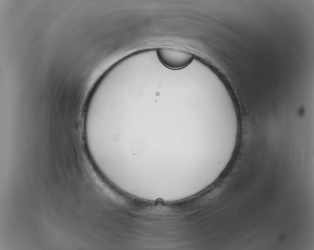 X0000116301517200912211851