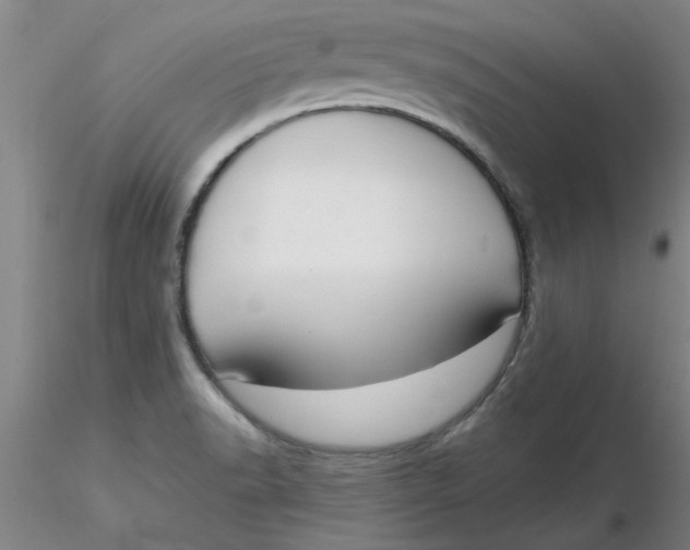 X0000116301518200912211851