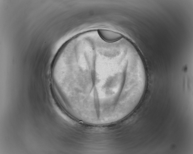 X0000116301519200912211851