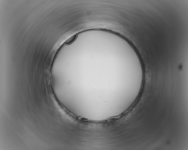 X0000116301521200912211851