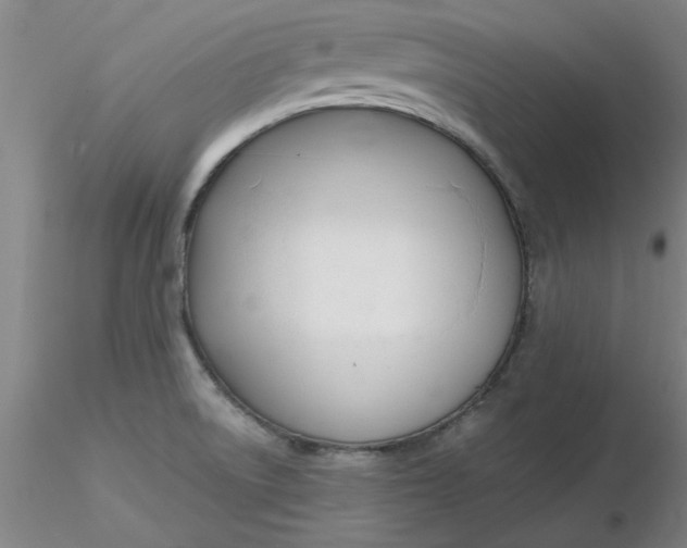 X0000116301522200912211851