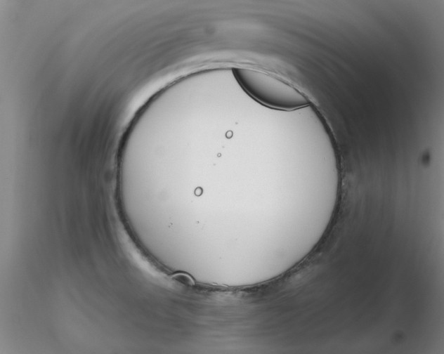 X0000116301523200912211851