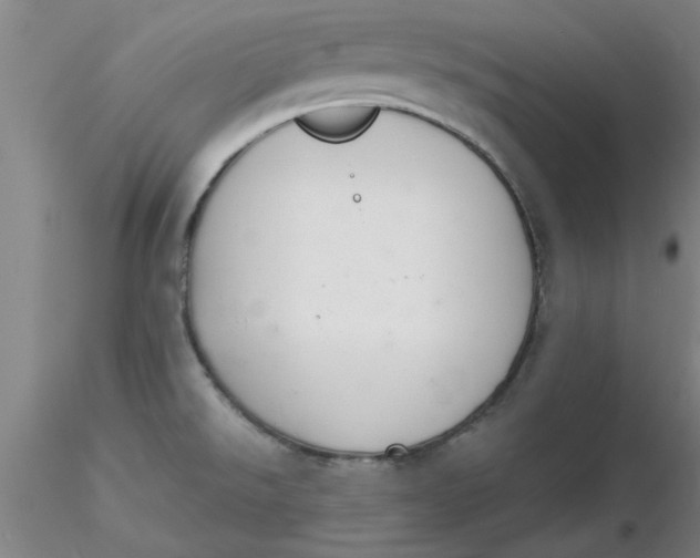 X0000116301526200912211851