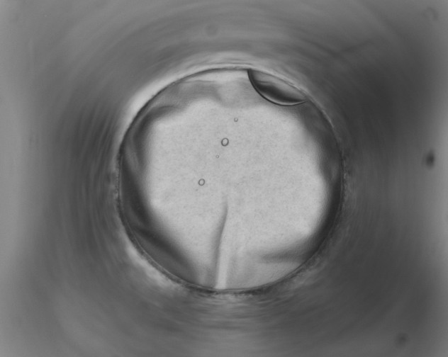 X0000116301527200912211851