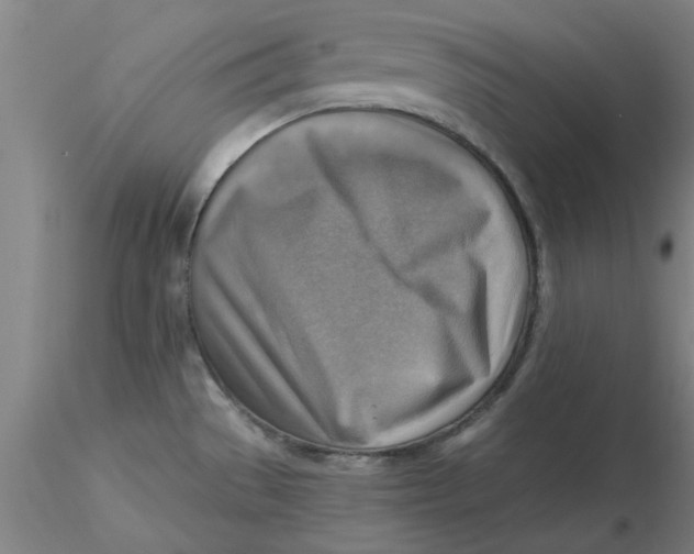 X0000116301529200912211851