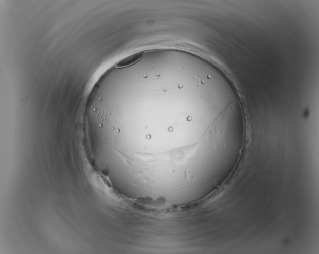 X0000116301530200912211851