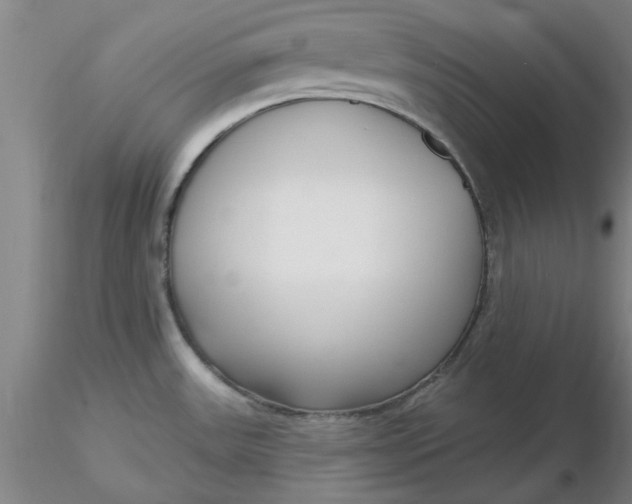 X0000116301531200912211851