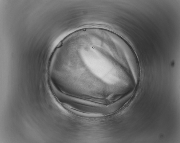 X0000116301533200912211851