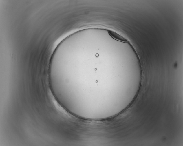 X0000116301534200912211851