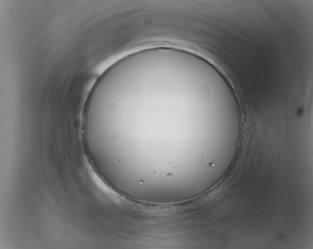 X0000116301535200912211851