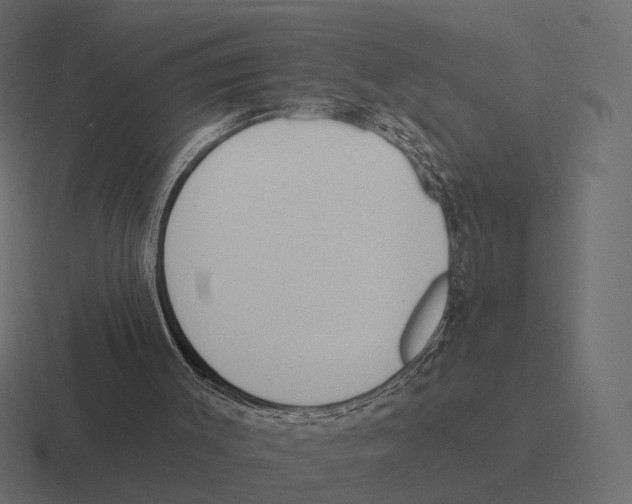 X0000116300003200912291441