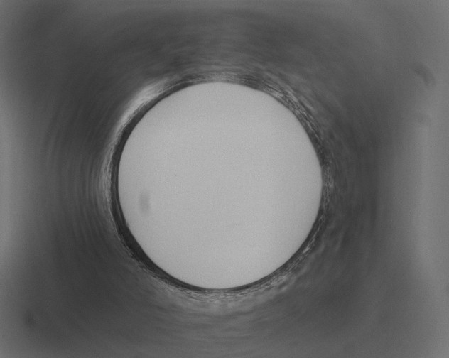 X0000116300006200912291441