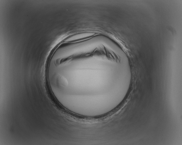 X0000116300008200912291441