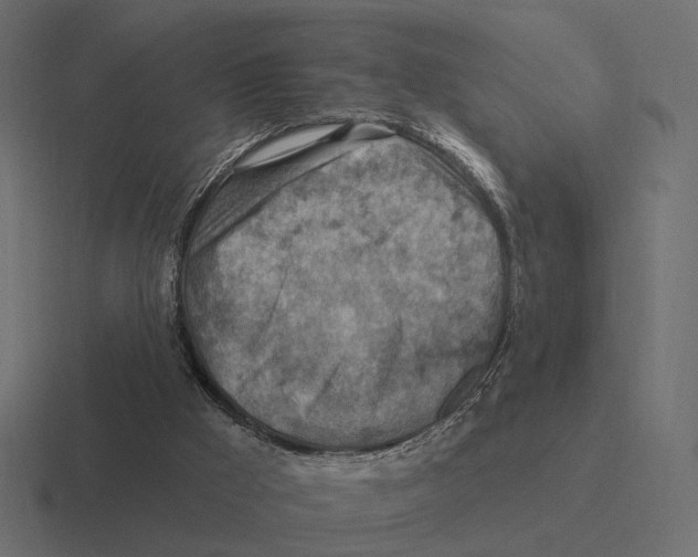 X0000116300009200912291440