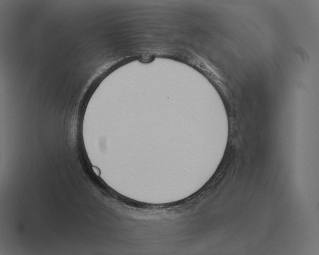 X0000116300012200912291440