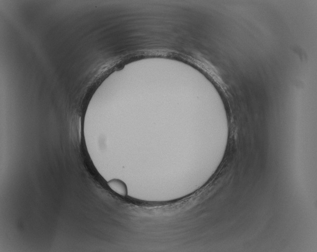 X0000116300013200912291440