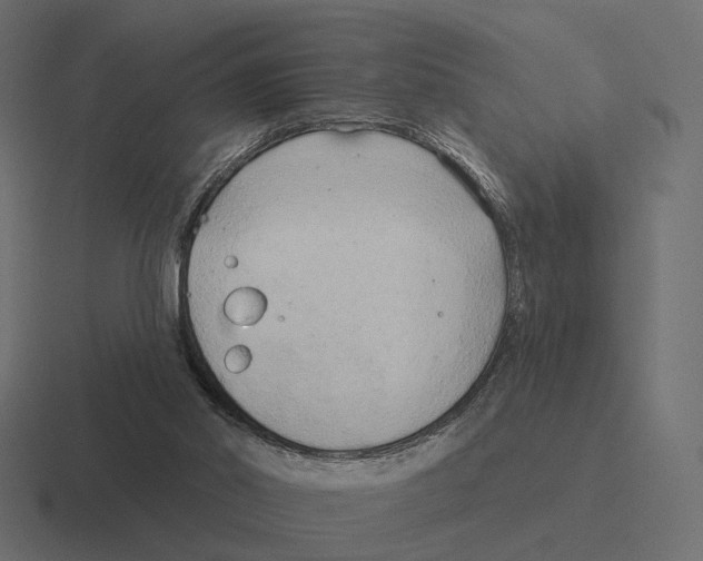 X0000116300014200912291440