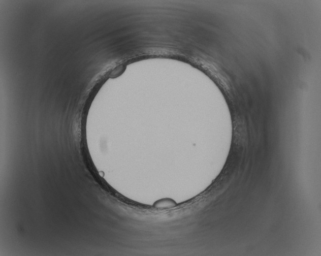 X0000116300015200912291440