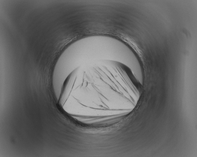 X0000116300017200912291440