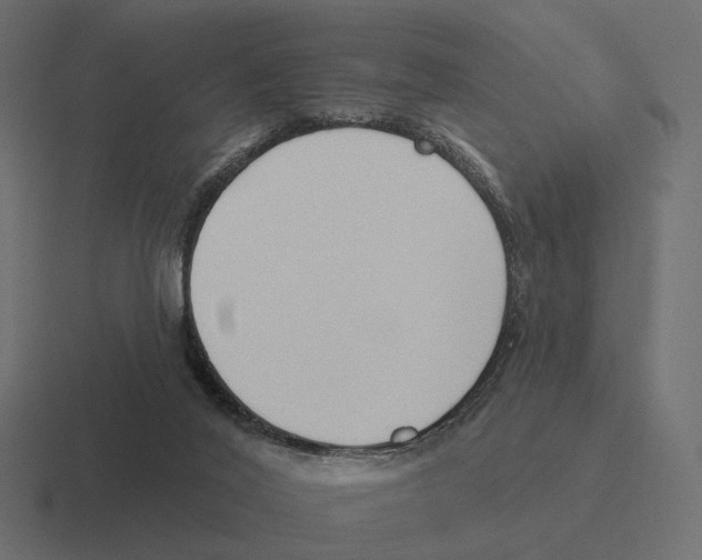 X0000116300020200912291440