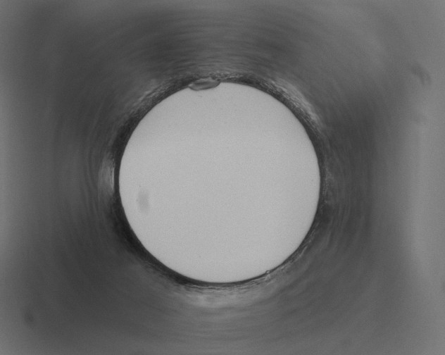 X0000116300021200912291440